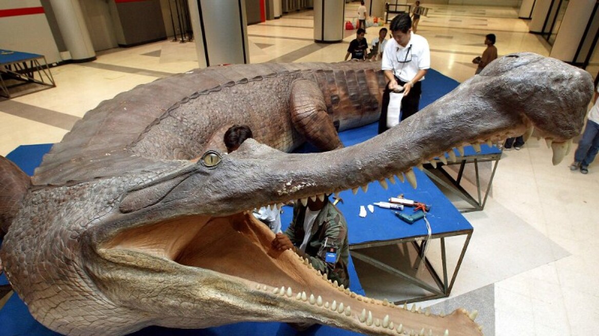 Ανακαλύφθηκε σημαντικός «ξάδερφος» των δεινοσαύρων που έμοιαζε με κροκόδειλο
