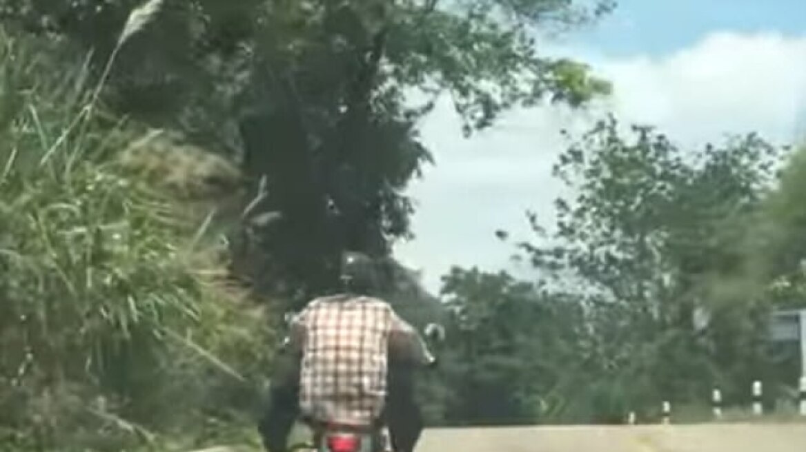 Βίντεο: Φίδι επιτίθεται σε μοτοσικλετιστή εν κινήσει 
