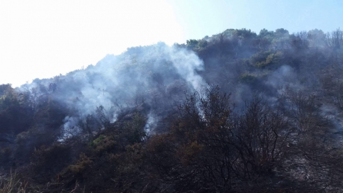Πυρκαγιά στη Ν. Σκιώνη Χαλκιδικής