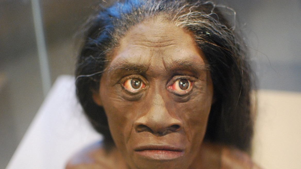 Αυστραλοί επιστήμονες: Ο «επιδέξιος άνθρωπος» πρόγονος του «Χόμπιτ» της Ινδονησίας
