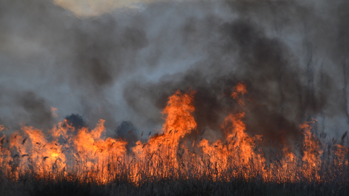 Ανεξέλεγκτη η πυρκαγιά στη Ζάκυνθο: Πάνω από 600 στρέμματα πευκοδάσους έχουν γίνει στάχτη 
