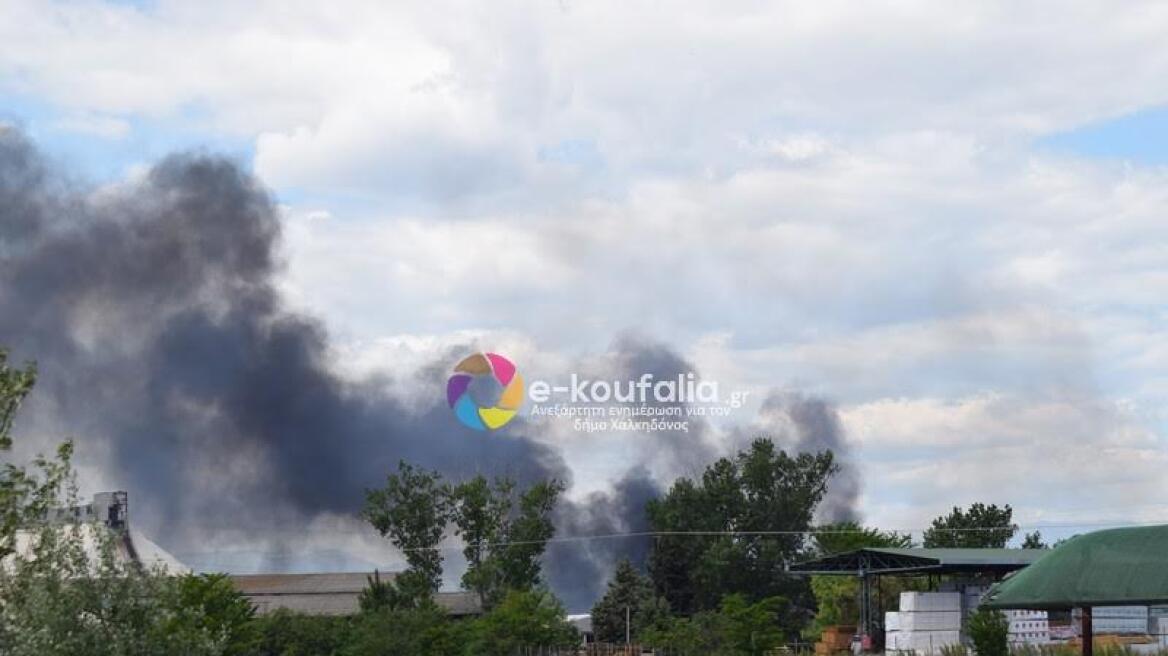 Θεσσαλονίκη: Πυρκαγιά σε προαύλιο εργοστασίου 