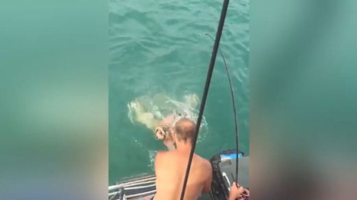 Βίντεο: Πήγε να παλέψει με καρχαρία και την... πάτησε!