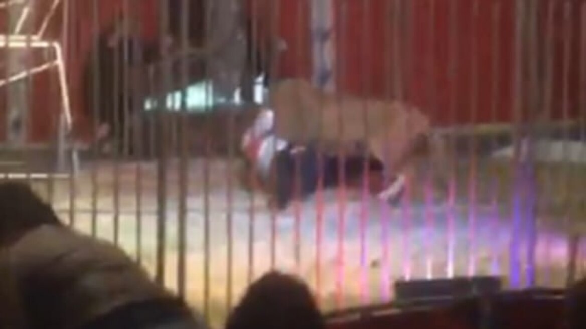 Βίντεο-σοκ: Λιοντάρι αρπάζει από το λαιμό τον εκπαιδευτή και τον «περιφέρει» στη σκηνή
