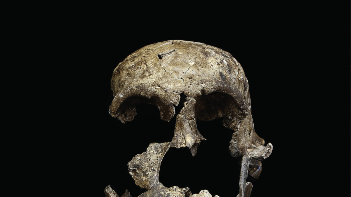 Νότιος Αφρική: Ανακαλύφθηκαν πάνω από 130 απολιθώματα του Homo naledi