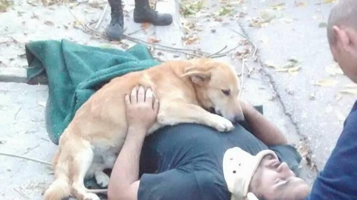 Φωτογραφίες: Σκυλάκος συμπαρίσταται στο τραυματισμένο αφεντικό του και γίνεται viral