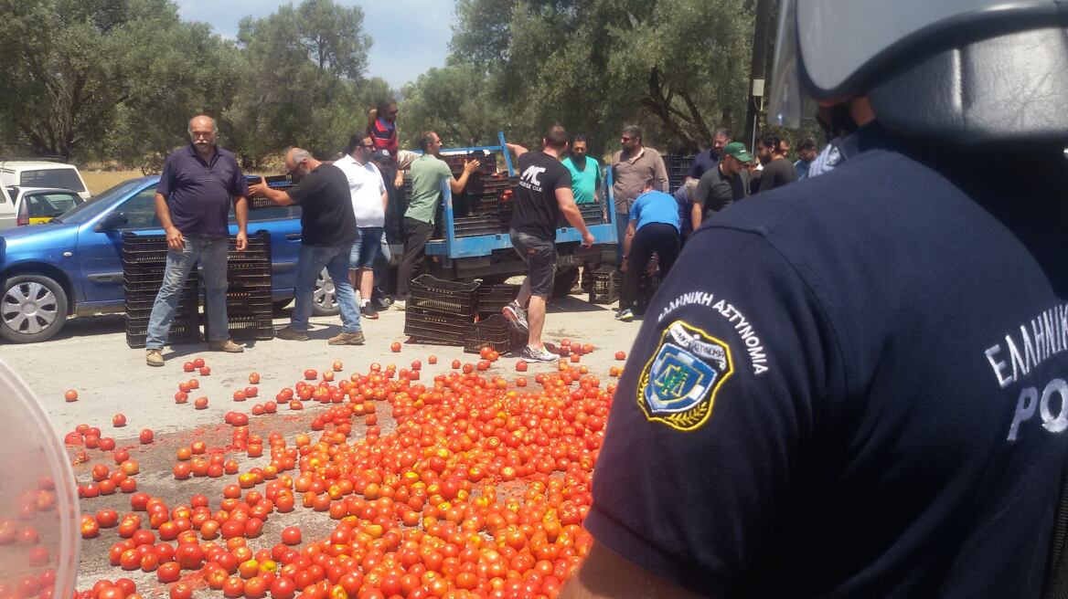 Τυμπάκι Κρήτης: Με ντομάτες υποδέχτηκαν αγρότες τον Γιάννη Τσιρώνη