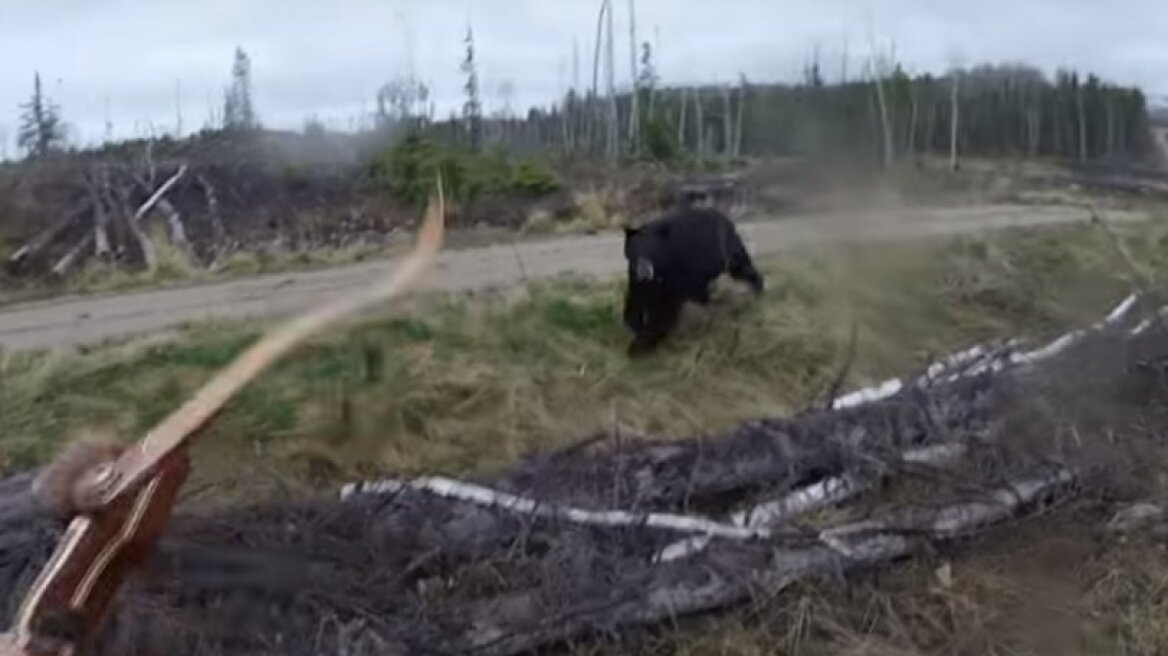 Η στιγμή που μία αρκούδα καταπλακώνει έναν κυνηγό