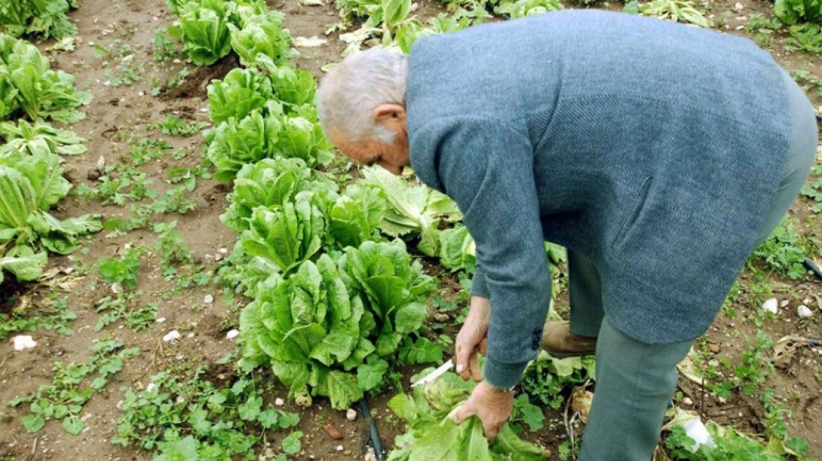 Έρχεται «τσεκούρι» στη σύνταξη σε όσους έχουν αγροτικό εισόδημα