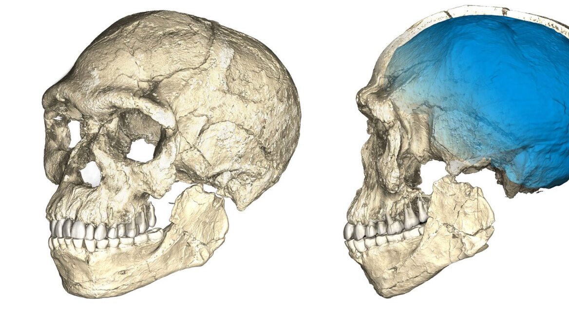 Αλλάζει η ιστορία της ανθρωπότητας: Βρέθηκε Homo Sapiens 300.000 χρόνων στο Μαρόκο