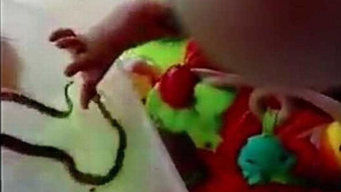 Βίντεο: Μάνα αφήνει φίδι να τσιμπήσει την κόρη της για να της διδάξει ένα μάθημα ζωής