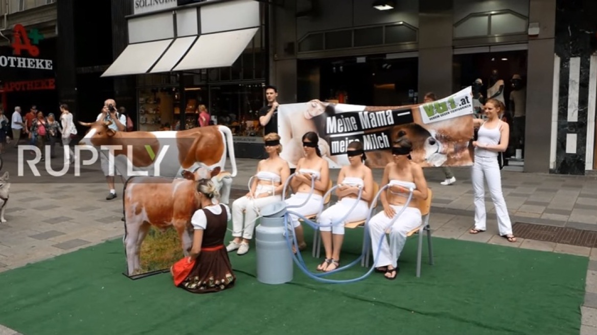 Ακτιβίστριες δέχθηκαν να τις «αρμέξουν» για να υπερασπιστούν τις αγελάδες