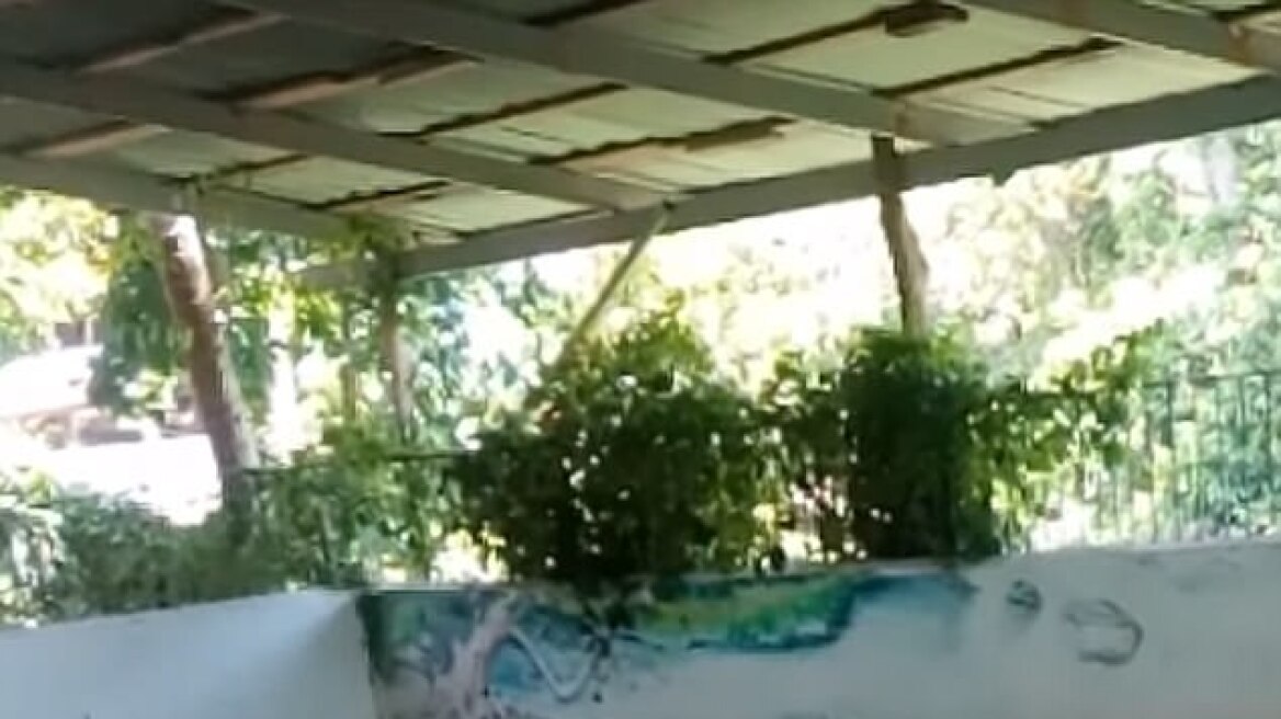 Τρομακτικό βίντεο: Φύλακας βάζει το κεφάλι του στο στόμα του κροκόδειλου...