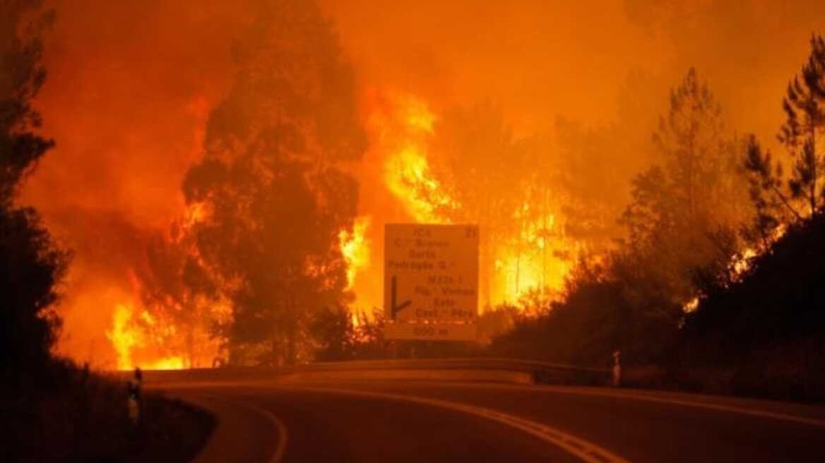  Death toll rises to 62 as forest fires rage across Portugal (Upd)