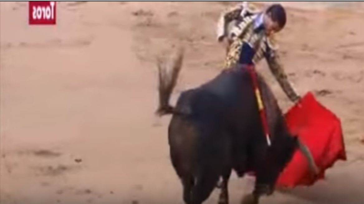 Spanish bull fighter gored to death in France (graphic video)