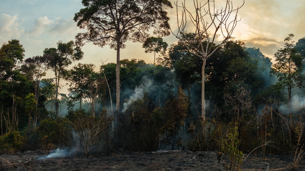 «SOS» για τον Αμαζόνιο: Πώς καταστρέφεται το τροπικό δάσος χωρίς να το «βλέπουν» οι δορυφόροι