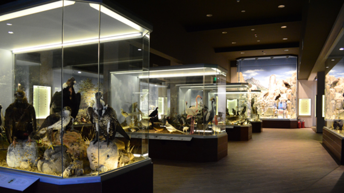 Νέα βράβευση για το μουσείο φυσικής ιστορίας Μετεώρων και μουσείο μανιταριών