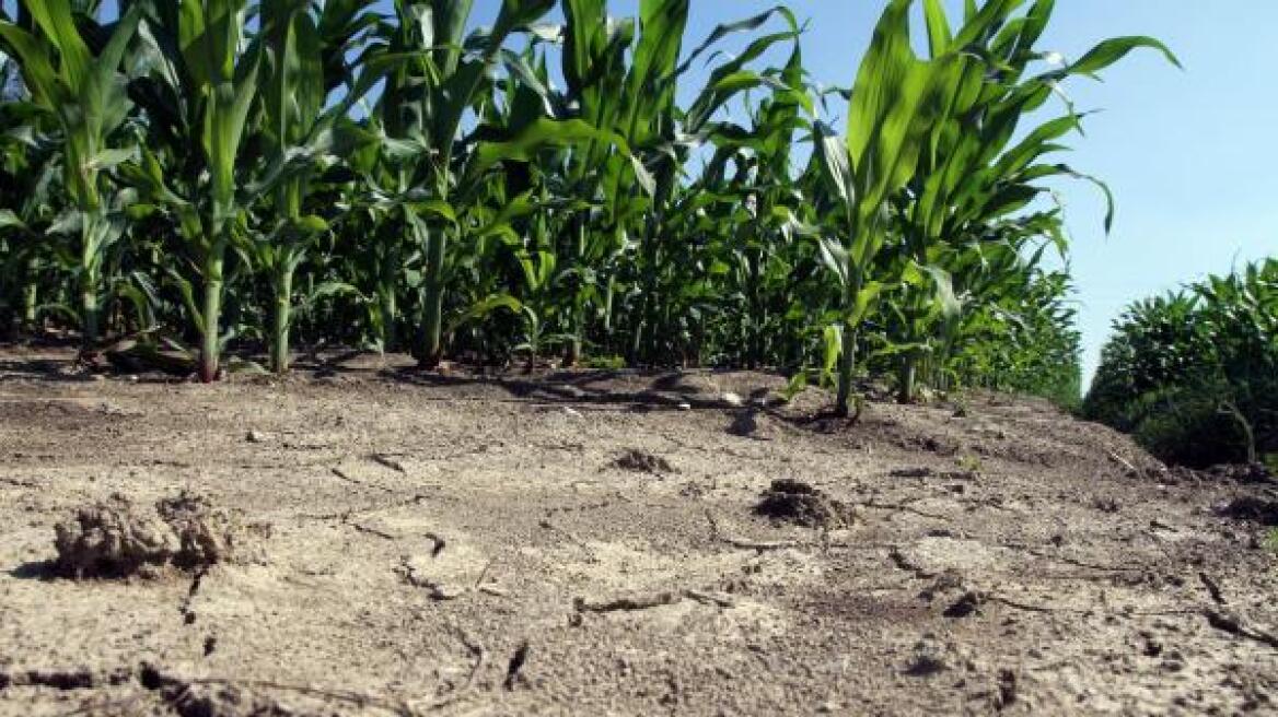 Ιταλία: «Ζημιά» ύψους ενός δισ. ευρώ προκάλεσε στους αγρότες της χώρας η ξηρασία