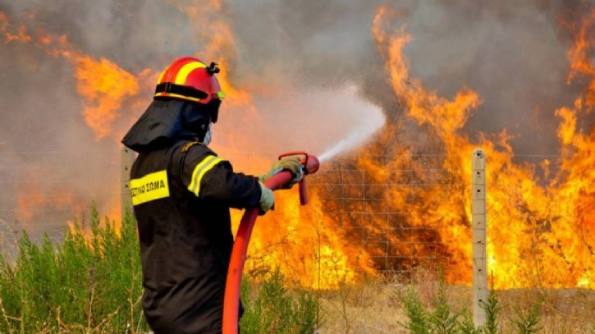 Θεσσαλονίκη: Φωτιά στην περιοχή του Νέου Ρύσιου