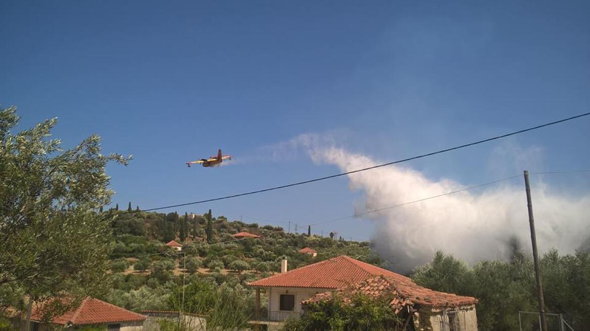 Υπό μερικό έλεγχο η φωτιά στην Κορώνη: Δίπλα από σπίτια έφτασαν οι φλόγες