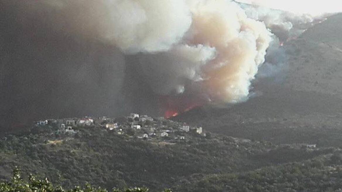 Φωτιά στη Μάνη: Κάηκαν 15 σπίτια - Μεγάλο πλήγμα στην παραγωγή λαδιού