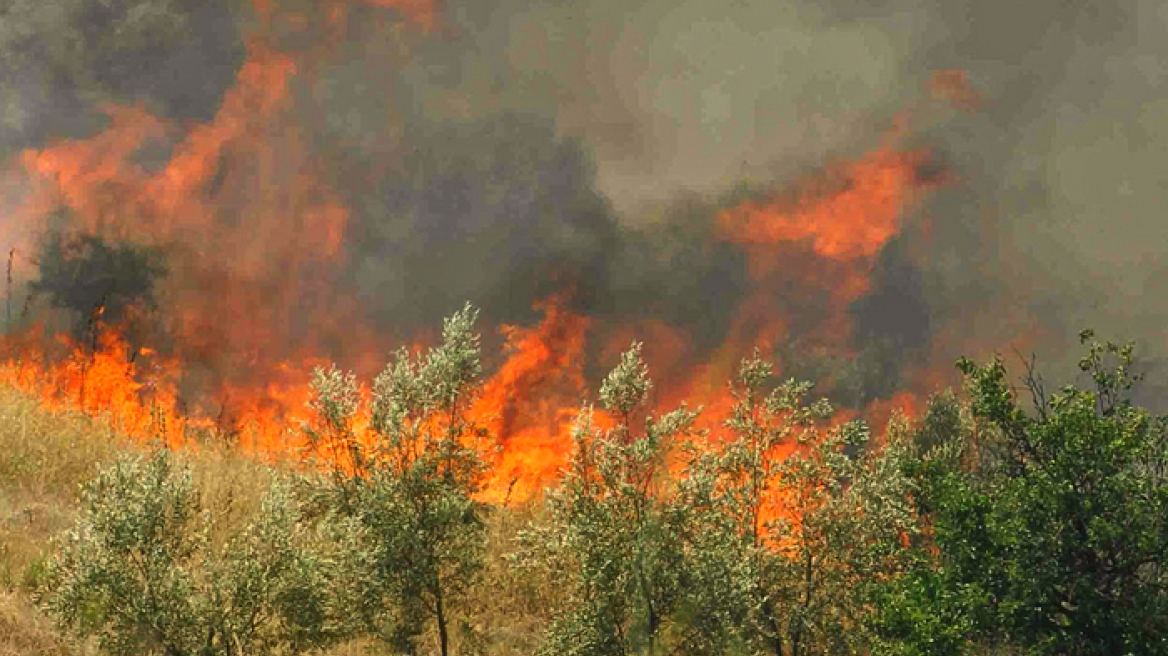 Ολονύχτια μάχη με τις φλόγες στη Ροδόπη - Σε ύφεση τα μέτωπα στη Μάνη
