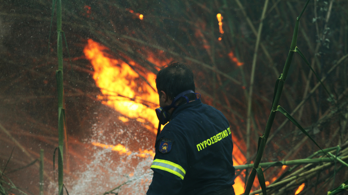 Υπό έλεγχο η φωτιά στην Μεσσηνία - Καίει ακόμα στο Ρέθυμνο 