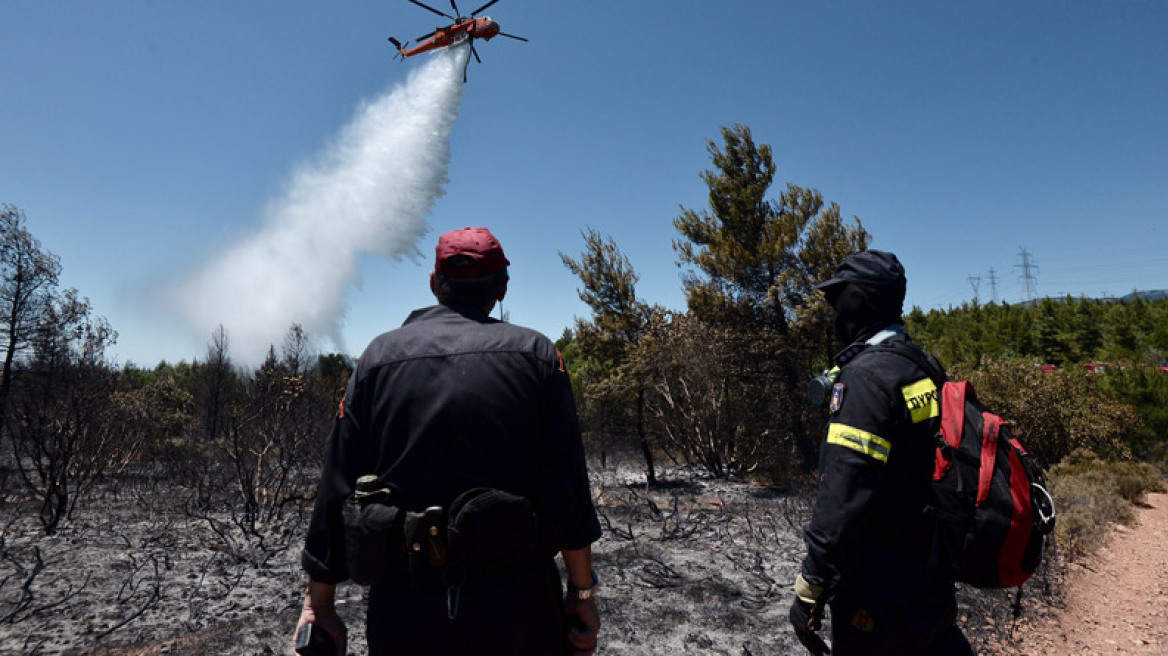 Βίντεο από τη μεγάλη φωτιά: Οι φλόγες απειλούν το Κρυονέρι    
