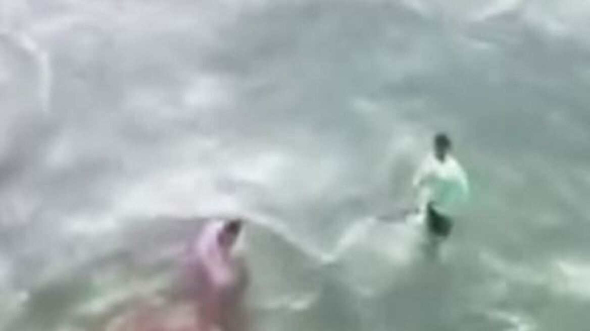 Βίντεο: Προσπάθησε να πιάσει την ουρά του καρχαρία και το μετανιώνει... ακόμη 