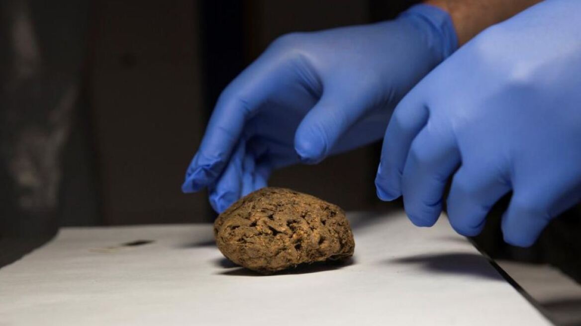 Απίστευτο: Βρέθηκαν φυσικά διατηρημένοι εγκέφαλοι σε ομαδικό τάφο από τον ισπανικό εμφύλιο!