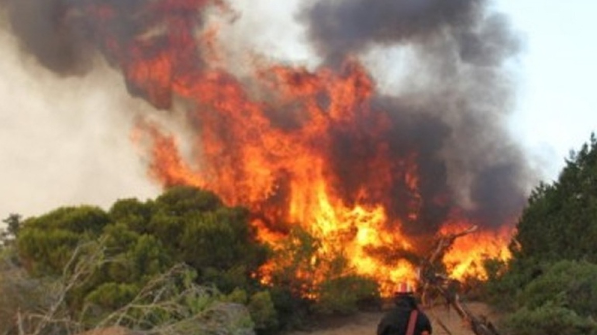 Μεγάλη πυρκαγιά στο δάσος της Βασιλικής στη Μεσσηνία