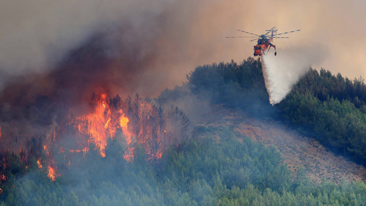 Έβρος: Σε κίνδυνο το Εθνικό Πάρκο Δαδιάς-Λευκίμης-Σουφλίου λόγω φωτιάς