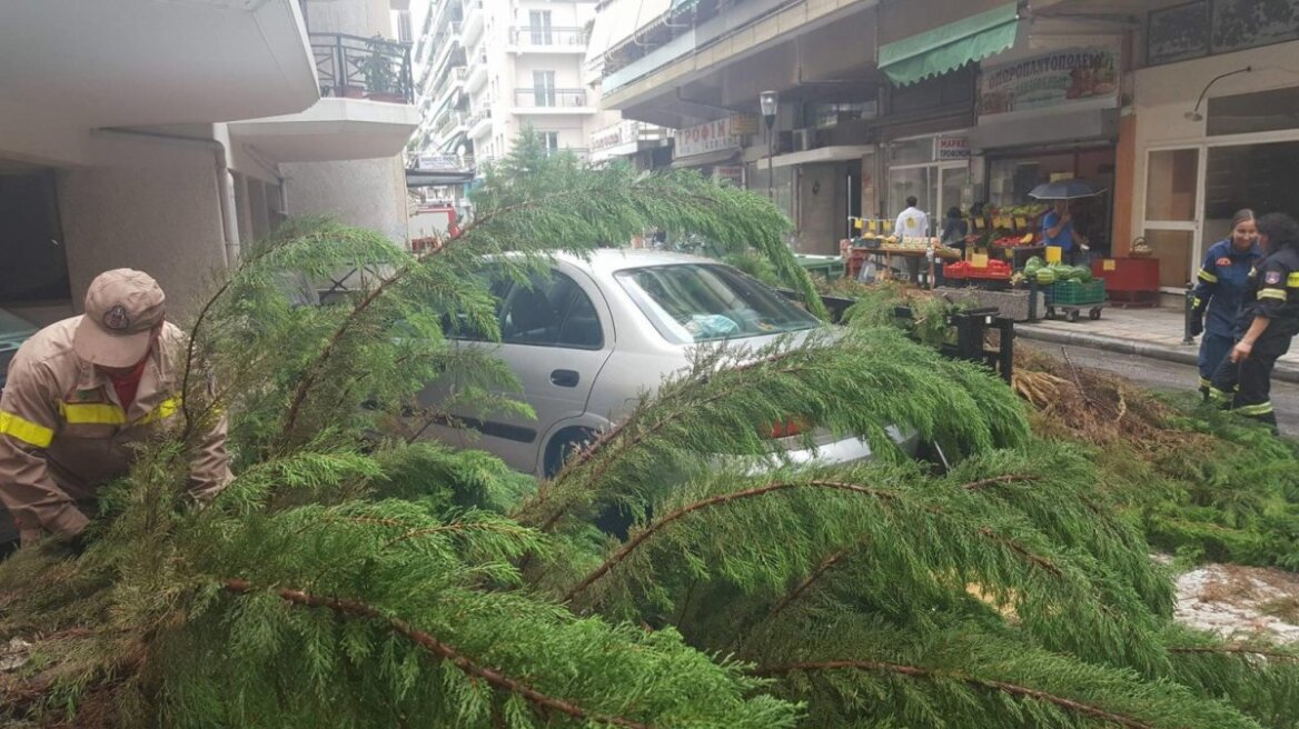 Λάρισα: Δέντρο έπεσε σε αυτοκίνητα από την κακοκαιρία