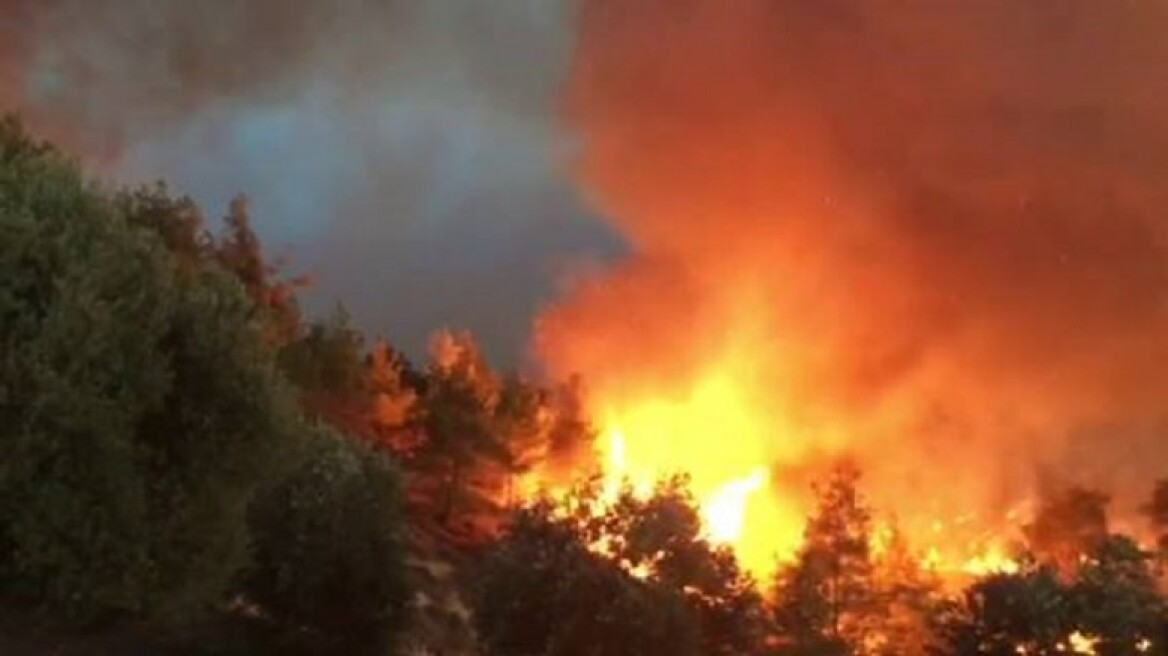 Πορτογαλία: Νέες δασικές πυρκαγιές μαίνονται στο βόρειο και στο κεντρικό τμήμα της χώρας