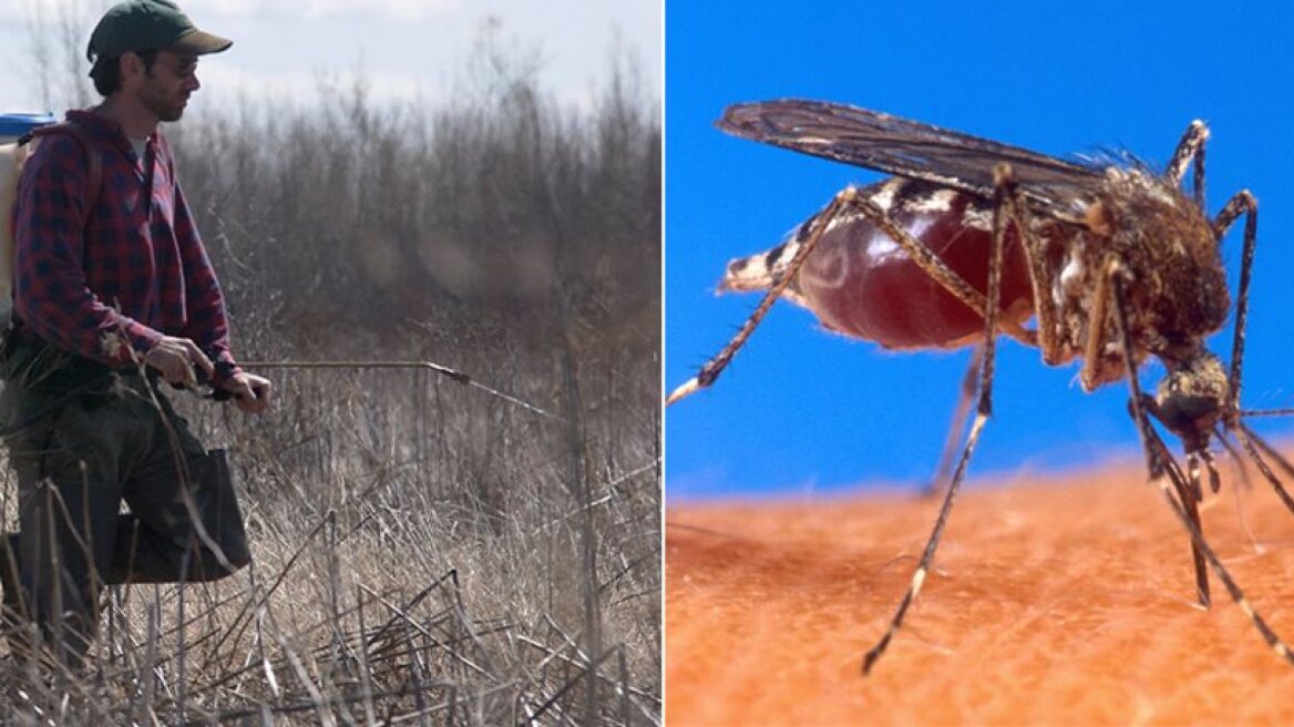 First West Nile virus case for summer recorded