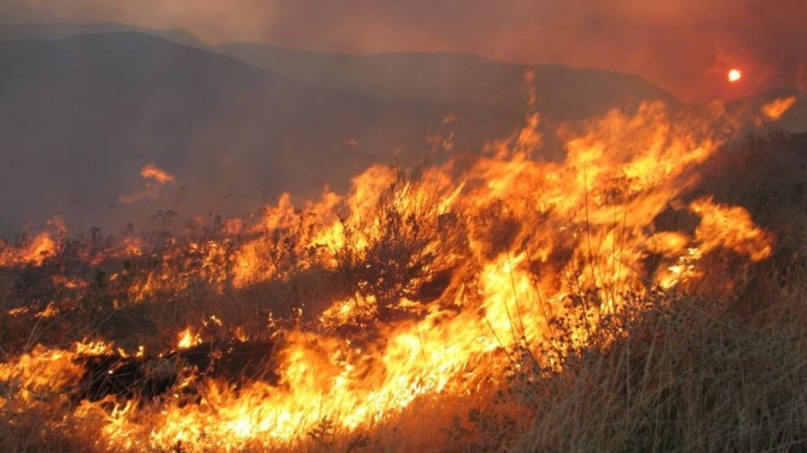 Κρήτη: «Μάχη» με τις φλόγες δίνει η Πυροσβεστική στον Άγιο Βασίλειο