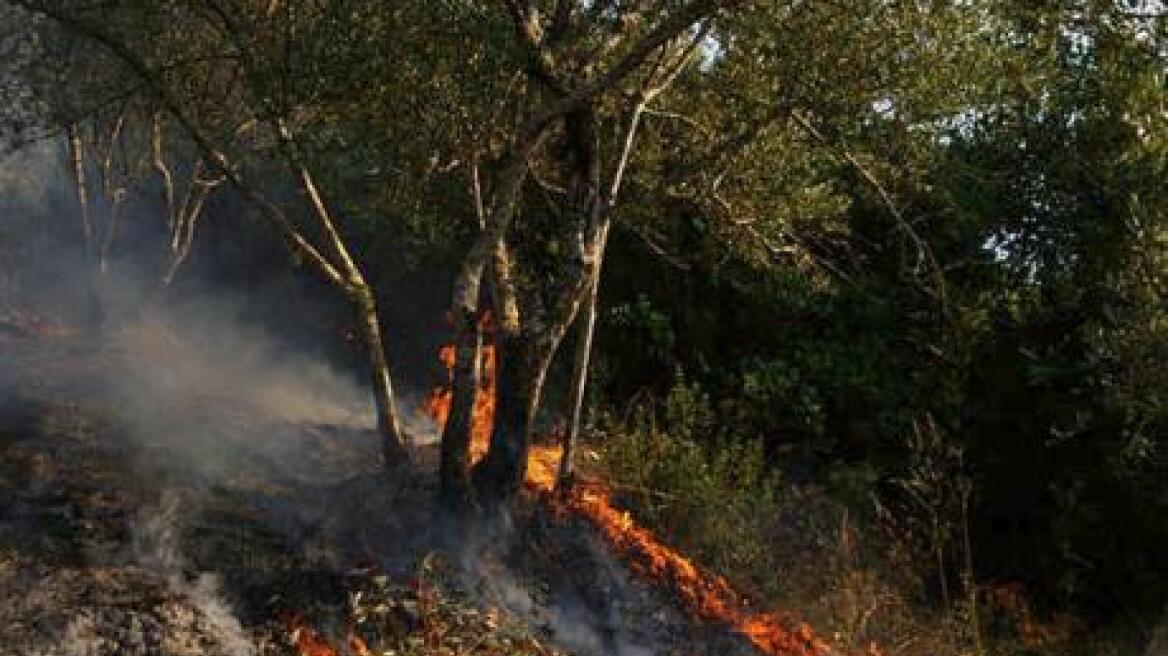 Σε ύφεση η πυρκαγιά που καίει από χτες το όρος Παντοκράτορα στην Κέρκυρα
