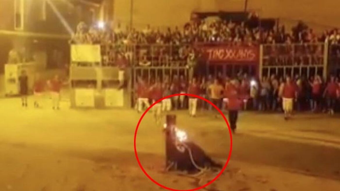 Σκληρό βίντεο: Ταύρος αυτοκτονεί στην αρένα