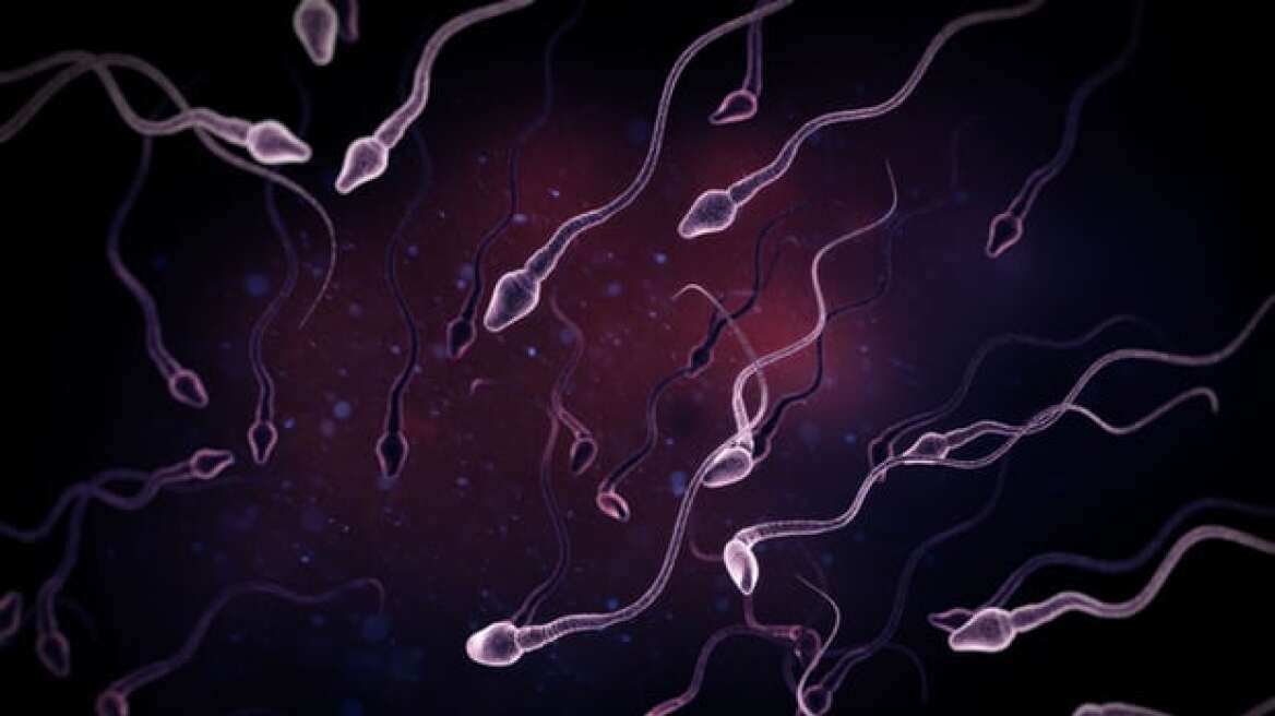 Men’s sperm count in West down by 50% in past 38 years, study shows (infographic)