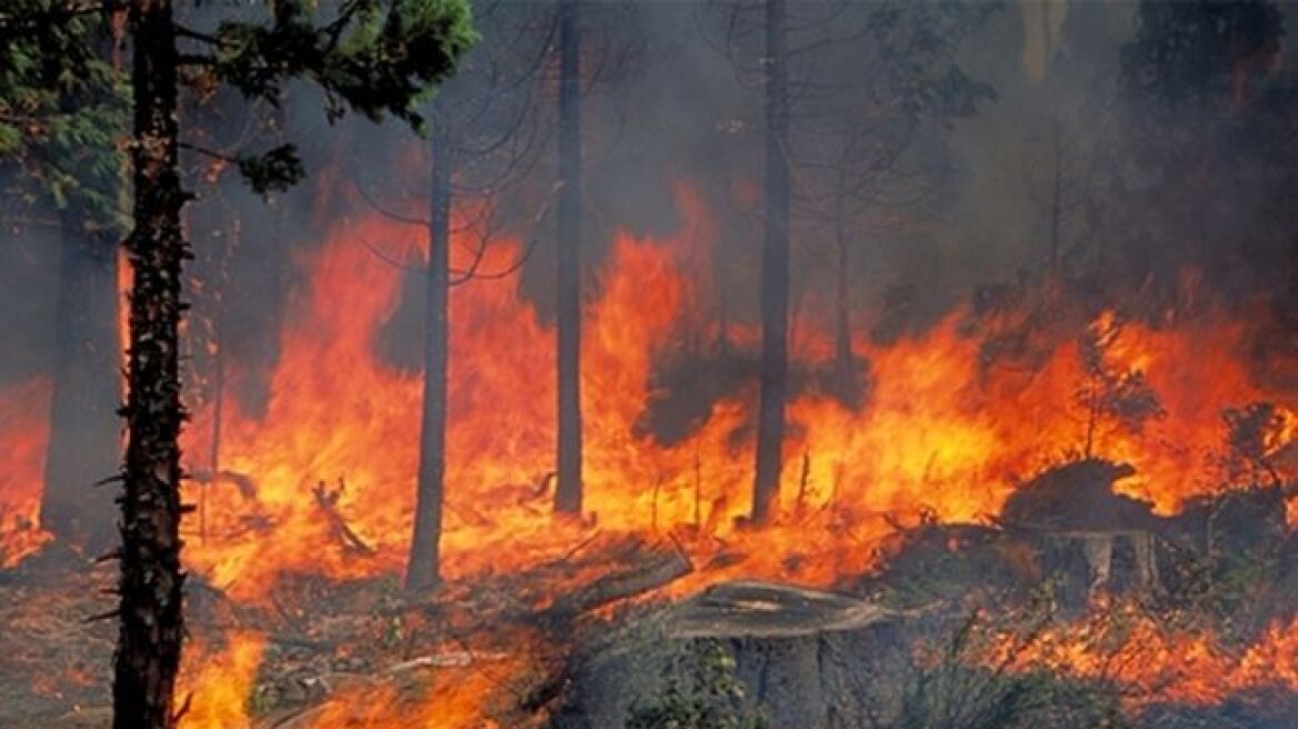 Πυρκαγιά σε δασική έκταση στο Καρπενήσι