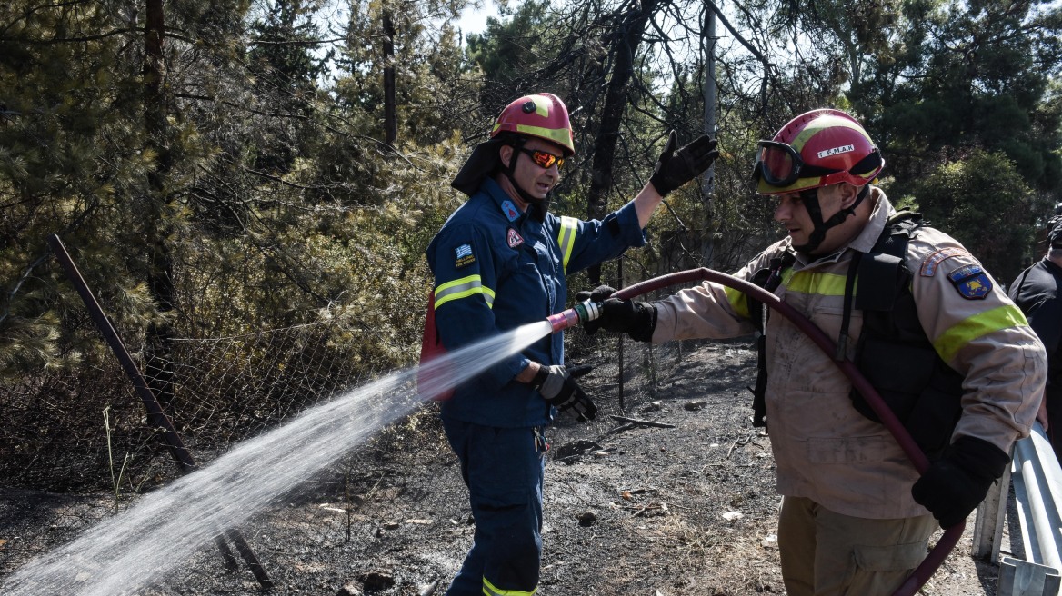 Φωτιά σε δάσος στη Ζίτσα Ιωαννίνων