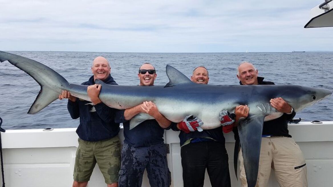 Βρετανοί ψαράδες έπιασαν τον μεγαλύτερο μπλε καρχαρία στις ακτές της Κορνουάλης