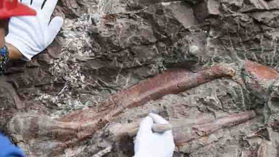 Κίνα: Ανακαλύφθηκαν απολιθωμένα αποτυπώματα δεινοσαύρων 100 εκατομμυρίων ετών