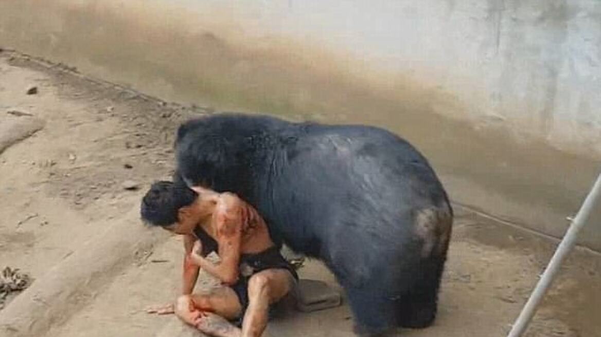 Σκληρές εικόνες: Αρκούδα παρέσυρε έναν άντρα στο κλουβί της ρίχνοντας τον αναίσθητο