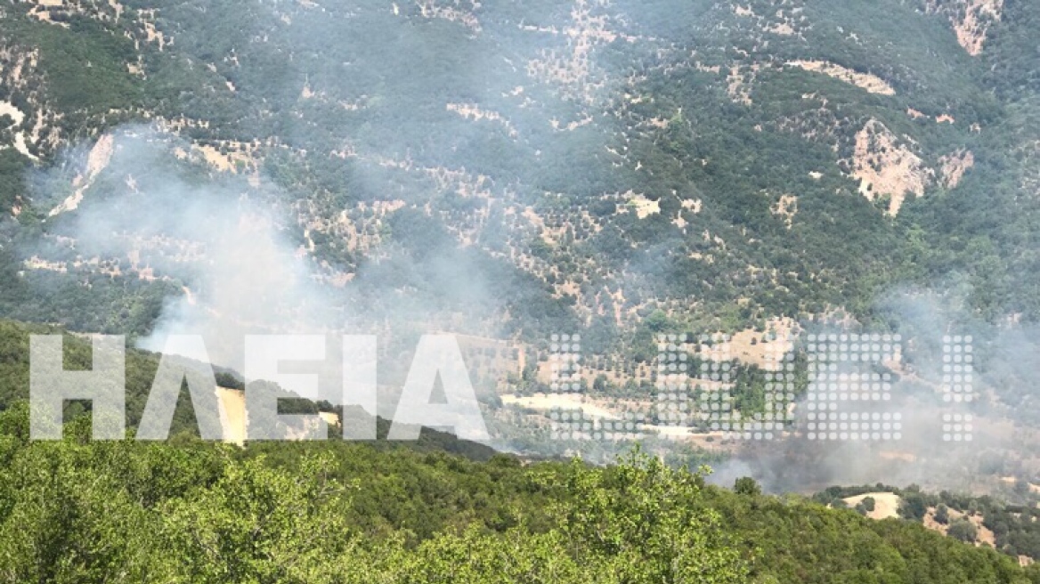 Ηλεία: Ξέσπασε πυρκαγιά στο Κούμανι