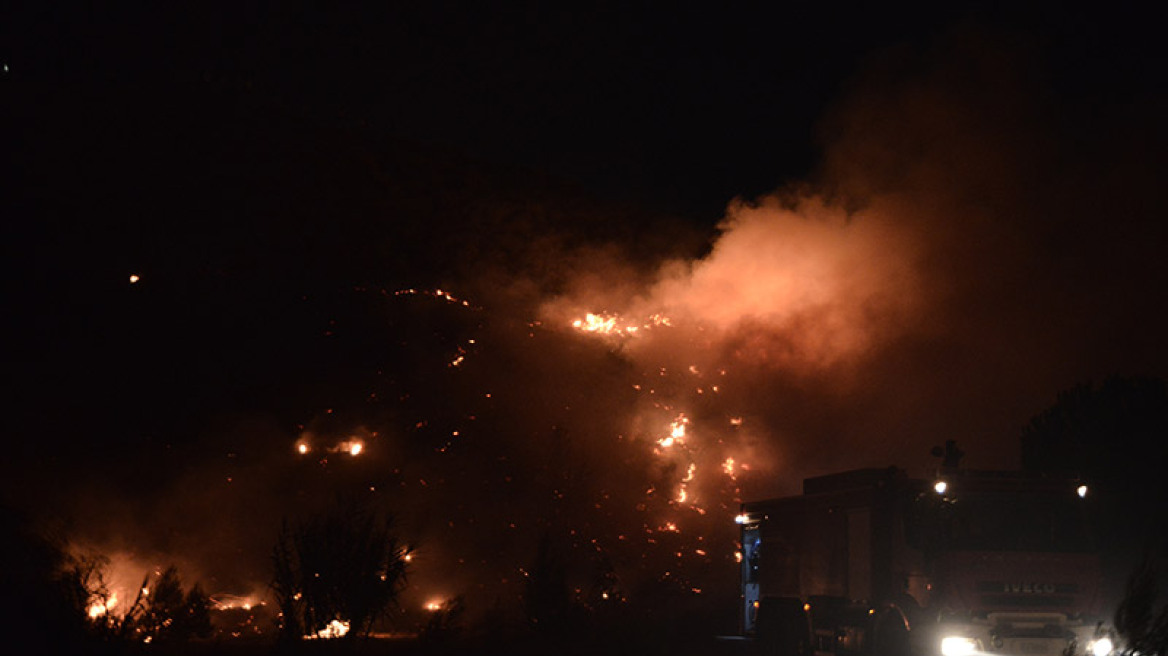 Φωτιά στις παρυφές του Άλσους Βεΐκου: Αποφεύχθηκαν τα χειρότερα