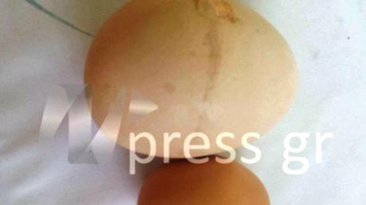 Απίστευτο αυγό γίγας στη Ναυπακτία: Και δεύτερο αυγό στο εσωτερικό του!