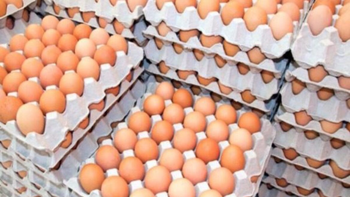 Η κρίση με τα μολυσμένα αυγά χτυπάει Γαλλία και Βρετανία