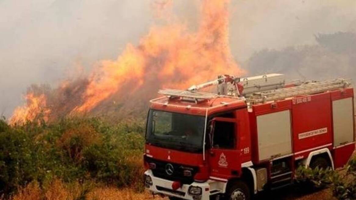 Αγρίνιο: Φωτιές στα Αμπέλια και τη Ρίγανη Αιτωλοακαρνανίας	