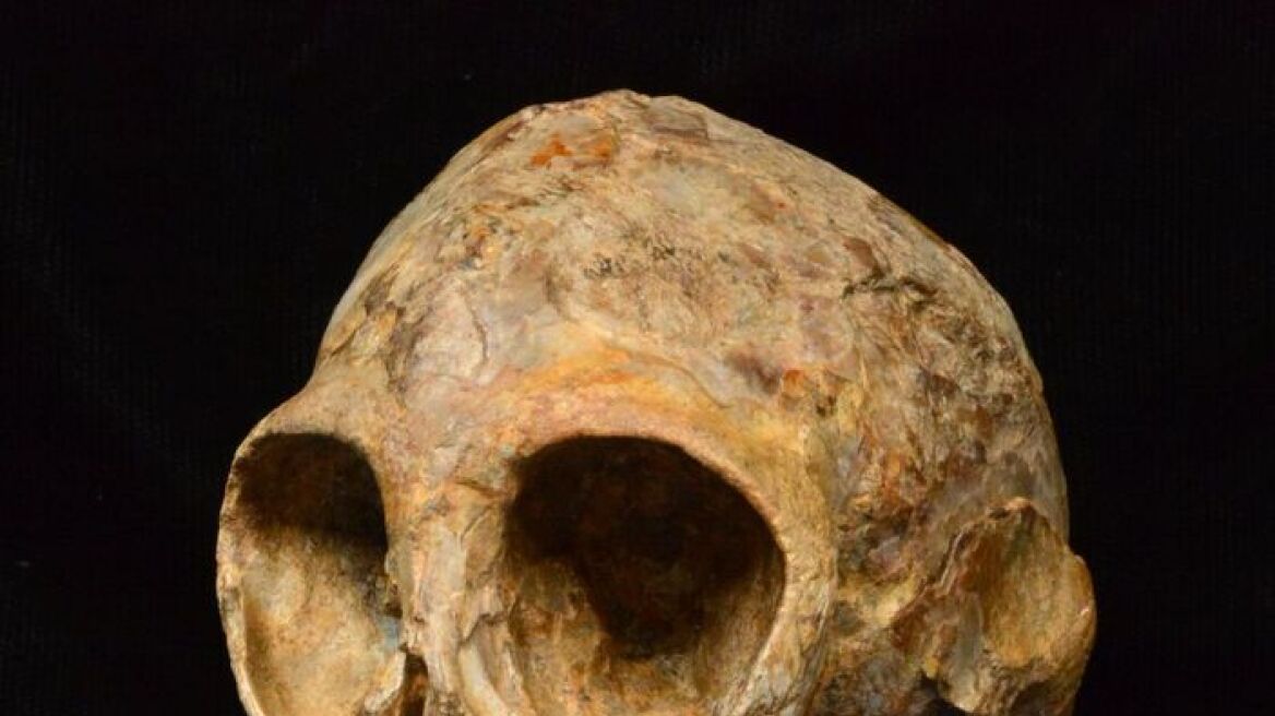 Ανακαλύφθηκε κρανίο 13 εκατ. ετών του κοινού προγόνου ανθρώπου - πιθήκου